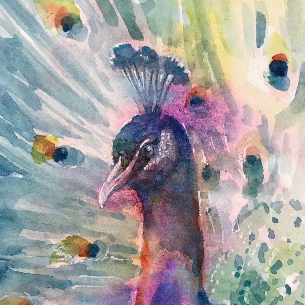 ⭕️ SOLD ⭕️ Original painting peacock Wildlife art - Picture 6 of 8